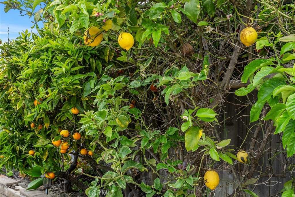 MLS #PW25080981 img 40