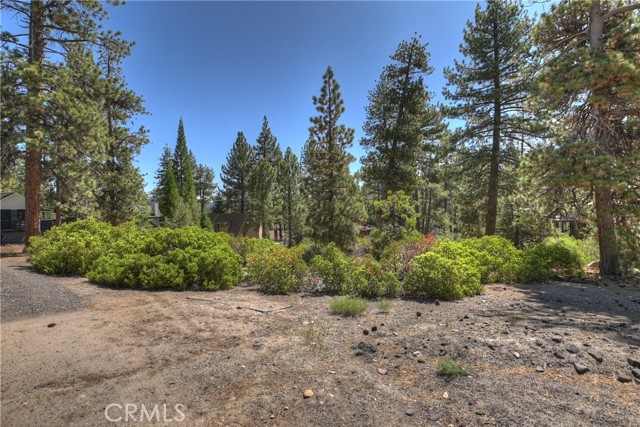 Detail Gallery Image 13 of 19 For 38602 Talbot, Big Bear Lake,  CA 92315 - – Beds | – Baths