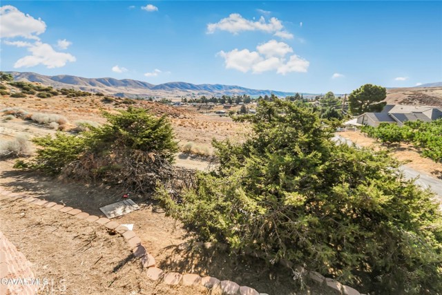 Detail Gallery Image 27 of 31 For 39631 87th St, Leona Valley,  CA 93551 - 4 Beds | 3 Baths