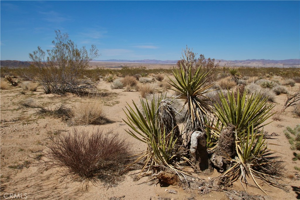 MLS #JT21090590 image #15