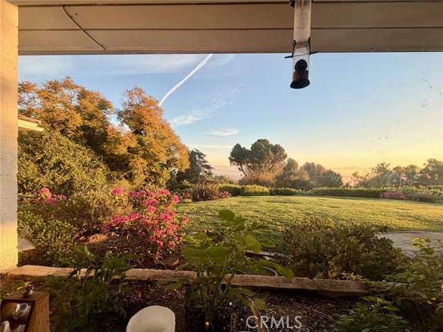 View from Dining Room