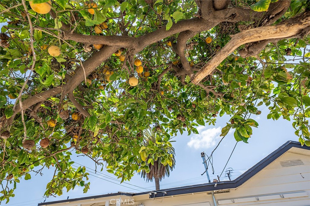 https://media.crmls.org/medias/d7c0b8b2-1e88-4c59-b858-7c3f2235a60e.jpg?preset=X-Large