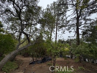 0 Burleigh Drive, Pasadena CA: https://media.crmls.org/medias/d7c1eb52-7fe3-4f2b-bc0c-847ca8880c9a.jpg