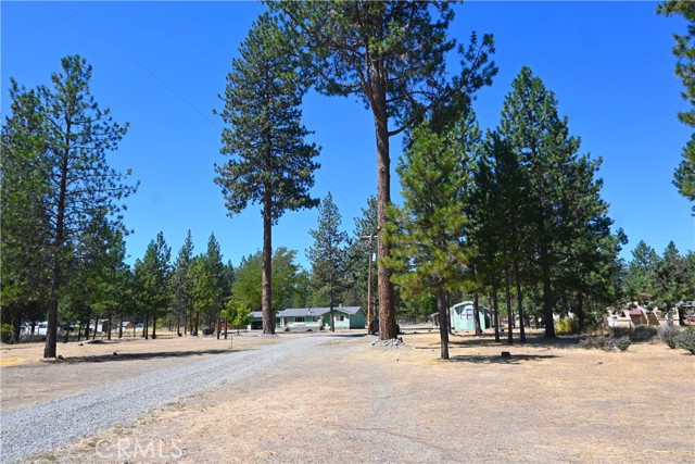 Detail Gallery Image 53 of 58 For 5409 N State Highway 3, Etna,  CA 96027 - 4 Beds | 2/1 Baths