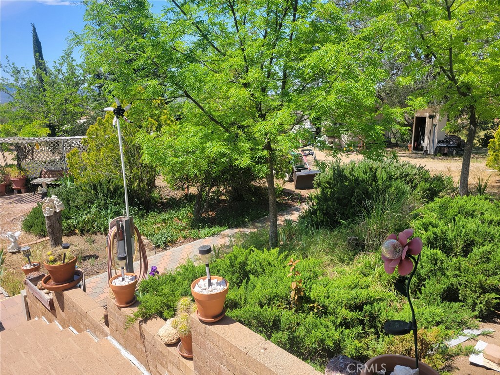 56400 Lubo Trail
