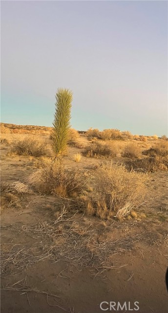 Detail Gallery Image 2 of 4 For 0 Vac/Corner P4/220 Ste Ave, Palmdale,  CA 93591 - – Beds | – Baths