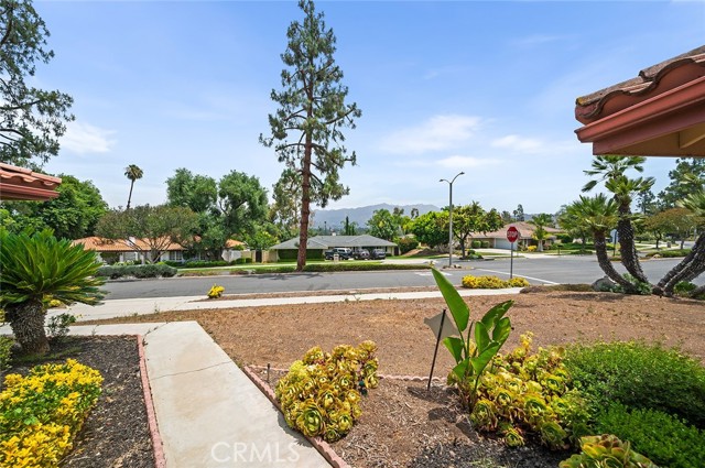 Image 4 of 47 For 1500 Country Club Drive