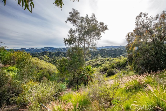 Image 9 of 31 For 24910 Chicory Court