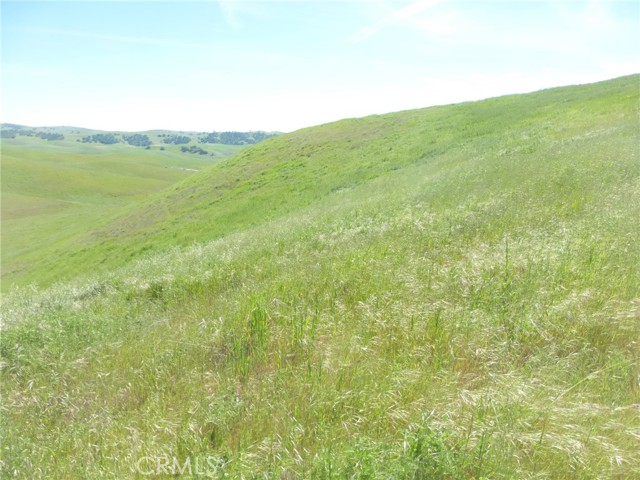 Detail Gallery Image 55 of 75 For 0 Douglas Rd. (Lots 28, 33 & 34), San Miguel,  CA 93451 - – Beds | – Baths