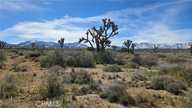 Detail Gallery Image 36 of 50 For 0 Fort Tejon Rd Vicinity 181st St E, Llano,  CA 93544 - – Beds | – Baths