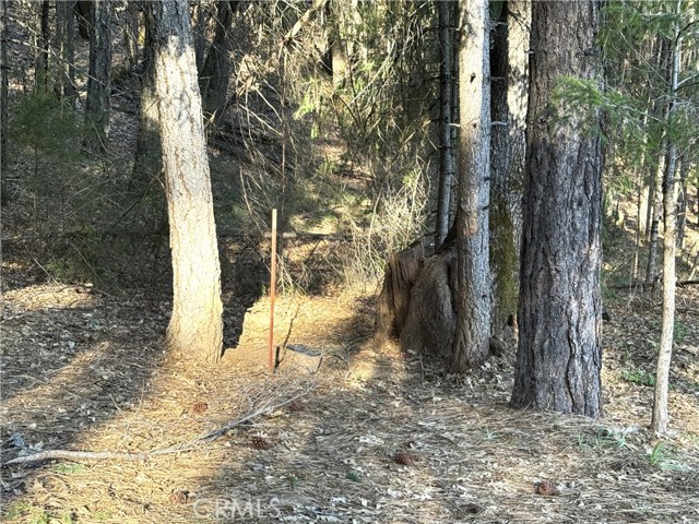 Detail Gallery Image 6 of 7 For 9465 Diamond Dust, Kelseyville,  CA 95451 - – Beds | – Baths