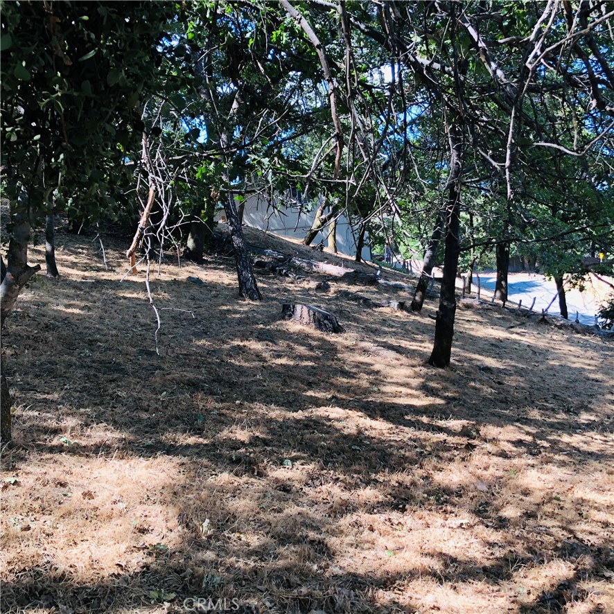 0 Spring Drive, Cedarpines Park, CA 92322
