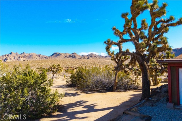 8427 Rock Haven Road, Joshua Tree CA: https://media.crmls.org/medias/d7e62b07-484c-4532-9ae7-082a62328db2.jpg
