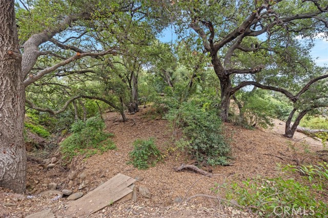 Image 40 of 48 For 28271 Modjeska Canyon Road