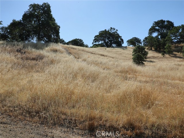 Detail Gallery Image 6 of 6 For 7295 Wilson St, Nice,  CA 95464 - – Beds | – Baths