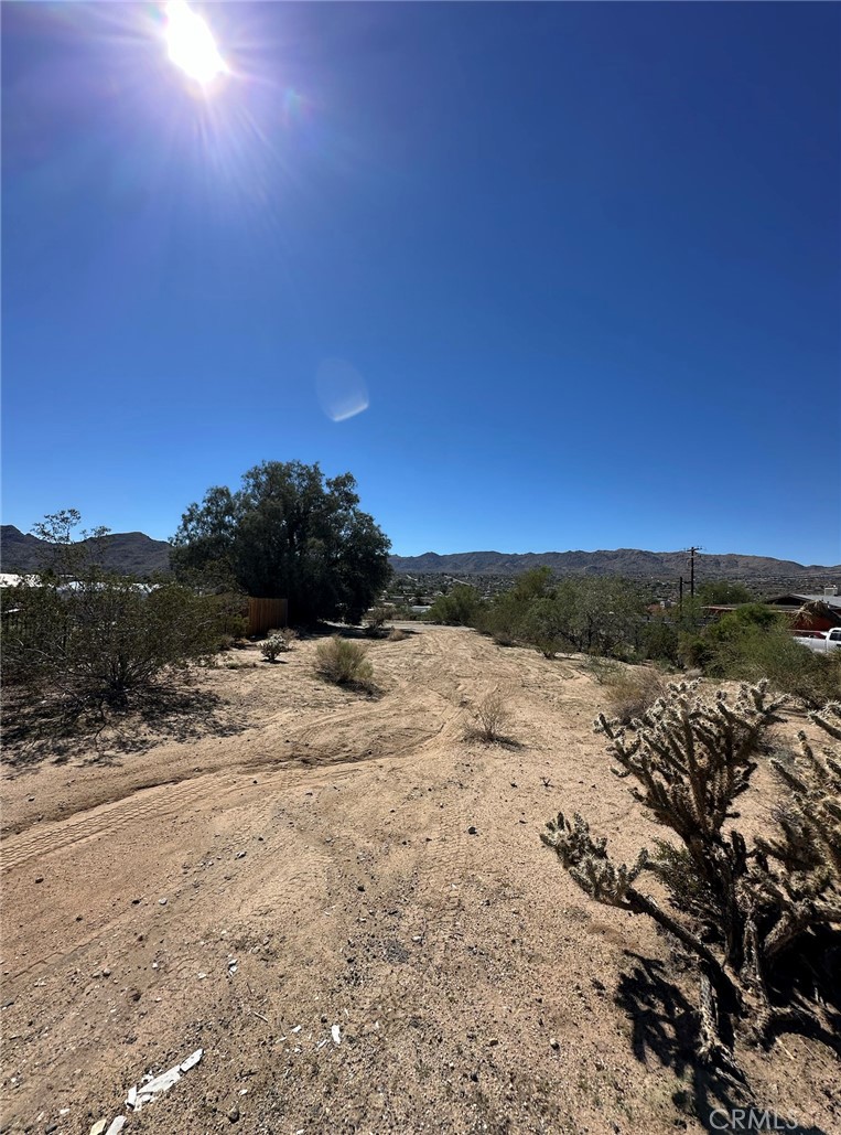 MLS #IV25254140 image #5