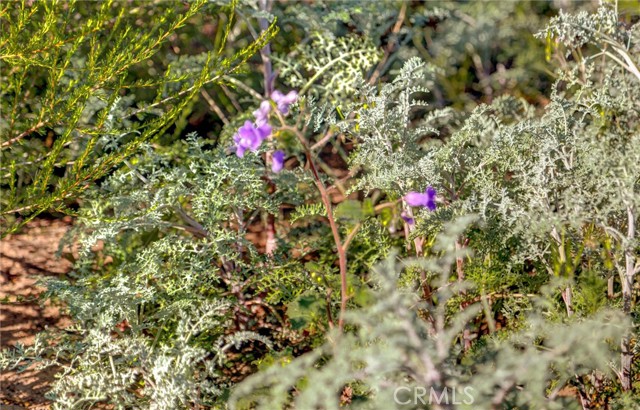 Detail Gallery Image 3 of 19 For 1 Decker Canyon Road, Ortega Mountain,  CA 92530 - – Beds | – Baths