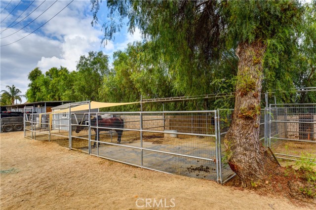 Detail Gallery Image 28 of 41 For 2354 Corydon, Norco,  CA 92860 - 4 Beds | 2 Baths