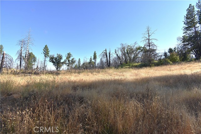 Detail Gallery Image 9 of 19 For 0 Centurion Way, Berry Creek,  CA 95916 - – Beds | – Baths