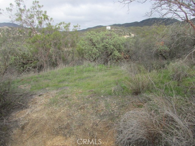 38750 Reed Valley Road