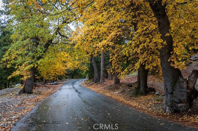 Detail Gallery Image 2 of 26 For 40204 Valley of the Falls, Forest Falls,  CA 92339 - 3 Beds | 2 Baths