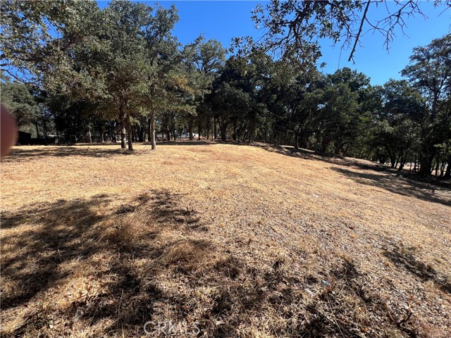 Detail Gallery Image 5 of 11 For 6060 Old Highway 53, Clearlake,  CA 95422 - – Beds | – Baths