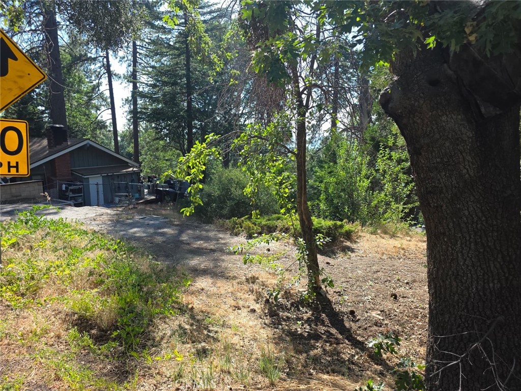 MLS #IV25164283 image #28