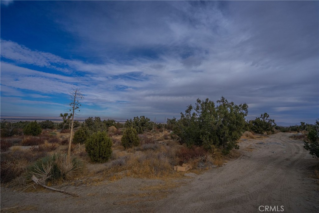 MLS #PW25003493 image #5