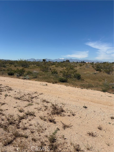 Detail Gallery Image 2 of 6 For 0 Hesperia Rd, Hesperia,  CA 92345 - – Beds | – Baths