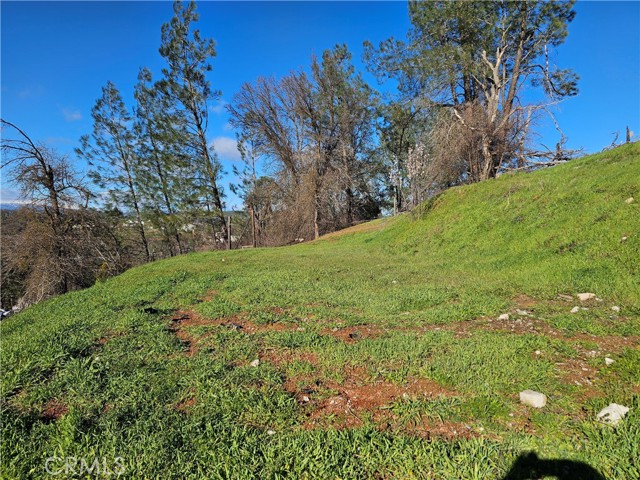 Detail Gallery Image 7 of 15 For 10167 Bell, Lower Lake,  CA 95457 - – Beds | – Baths