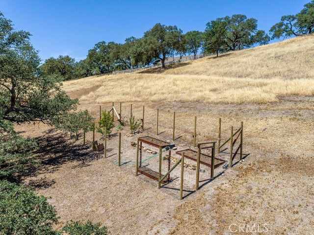 Kitchen garden with fruit trees, grapes, berries and raised beds