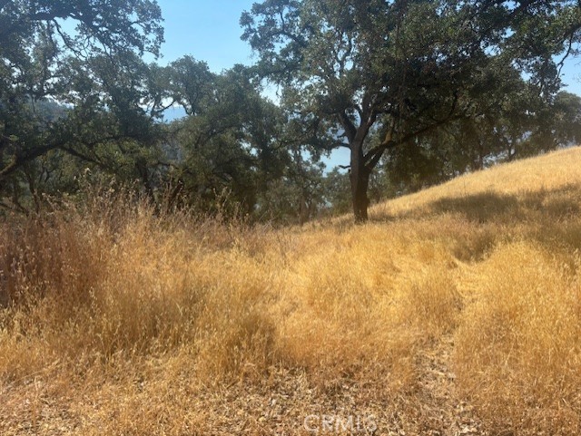 Detail Gallery Image 34 of 44 For 10877 Crestview Dr, Clearlake,  CA 95424 - – Beds | – Baths