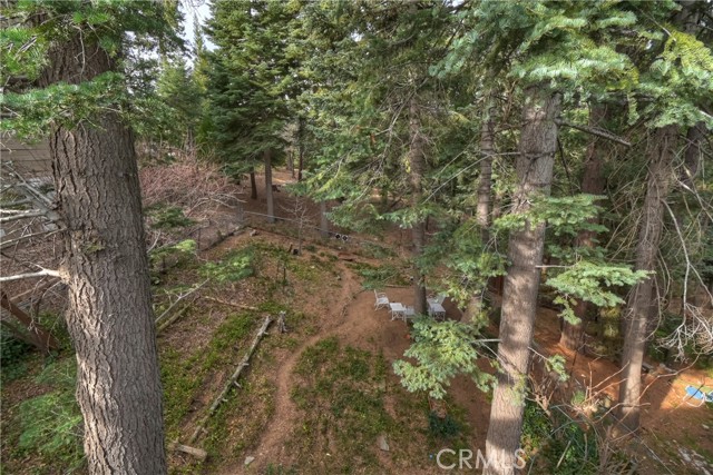 Detail Gallery Image 48 of 53 For 696 Rose, Twin Peaks,  CA 92391 - 4 Beds | 2 Baths