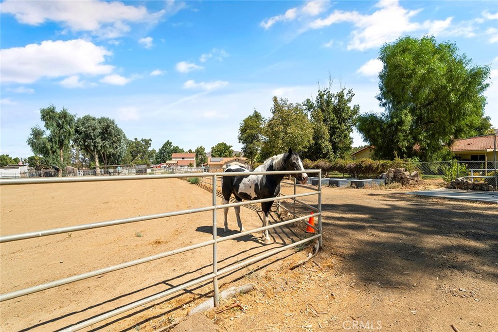 D828E977 B667 40B6 8B5E C14C3Ead5783 - California Locals