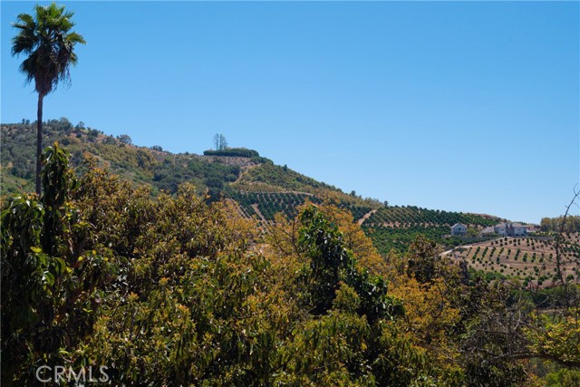 Detail Gallery Image 7 of 10 For 6 El Prado Road Rd, Temecula,  CA 92590 - – Beds | – Baths