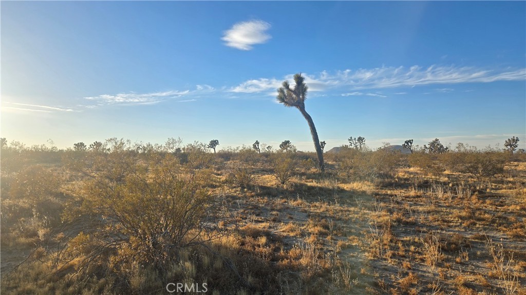 MLS #SR25151837 image #15