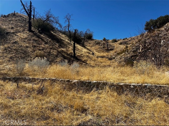 Detail Gallery Image 6 of 15 For 195 Ste/2 Min Bg, Llano,  CA 93544 - – Beds | – Baths