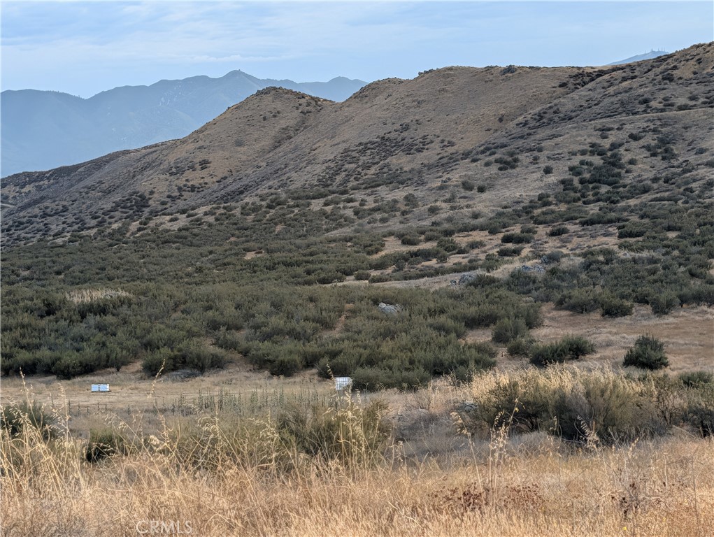 https://media.crmls.org/medias/d83dee69-534d-4a9b-833c-88c8edd3c402.jpg?preset=X-Large