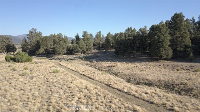 16469 Curtis Trail, Frazier Park CA: https://media.crmls.org/medias/d83f33cb-2924-4ea2-b68d-3e82cb8534a9.jpg