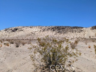 MLS #JT25222422 image #5