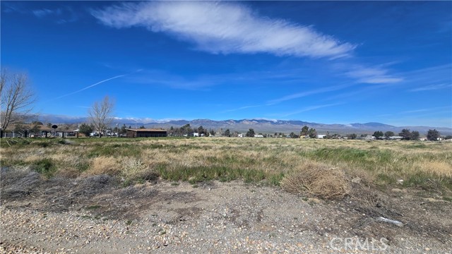 Detail Gallery Image 12 of 27 For 0 Lancaster Rd/Hwy 138 Vic 284th St W, –,  CA 93536 - – Beds | – Baths