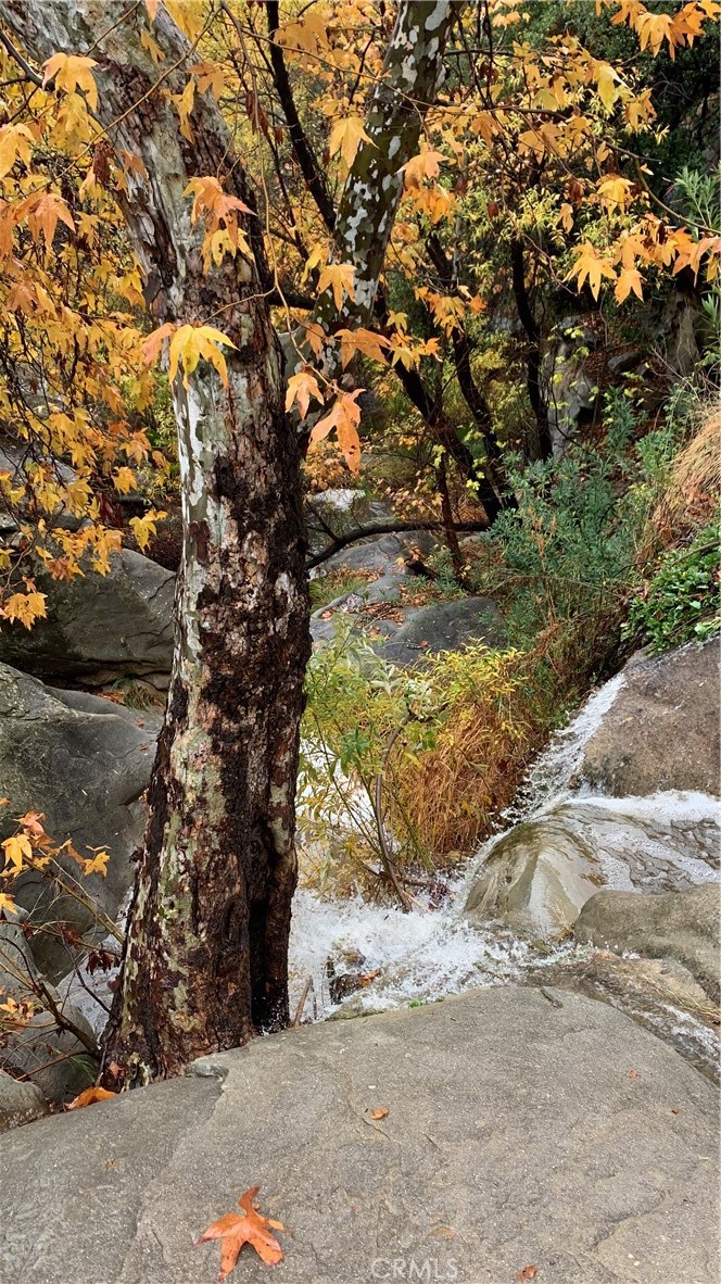 https://media.crmls.org/medias/d842f3cb-6e74-4b7e-87f0-5fdd882925ec.jpg?preset=X-Large