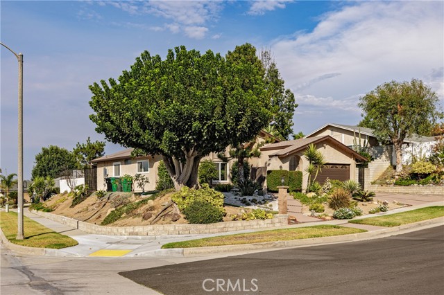 Detail Gallery Image 64 of 67 For 1817 Yucca Dr, Corona,  CA 92882 - 4 Beds | 2 Baths