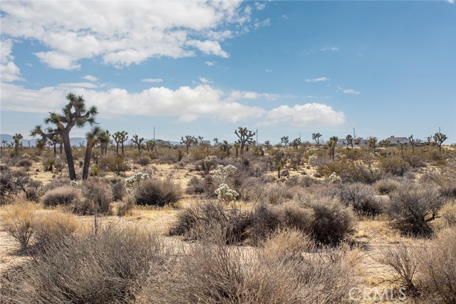 Detail Gallery Image 6 of 19 For 59525 La Crescenta Dr, Yucca Valley,  CA 92284 - – Beds | – Baths