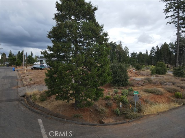 Detail Gallery Image 14 of 19 For 13898 Carver, Magalia,  CA 95954 - – Beds | – Baths