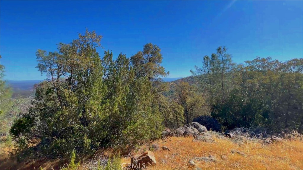 MLS #MP25174954 image #17