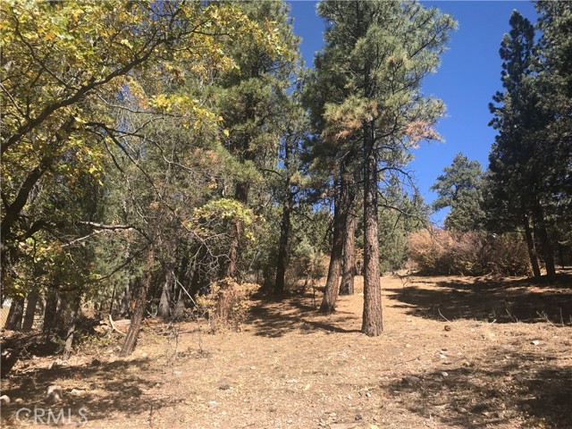 0 Sheephorn Rd, Big Bear City, California 92315, ,Land,For Sale,0 Sheephorn Rd,CRIG21227250