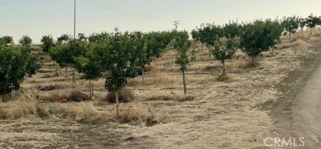 12400 Pistachio, Mcfarland, CA, 93250 12400 Pistachio, Mcfarland, CA, 93250