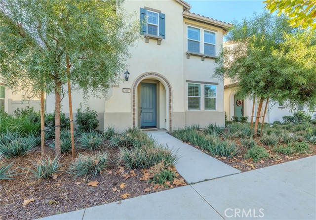 Front Image Thumbnail for CRIV25189611