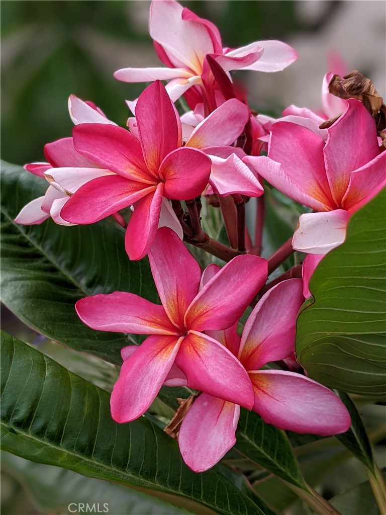 https://media.crmls.org/medias/d8723b30-8c3c-4b0e-8b5b-600dbdaa8a29.jpg?preset=X-Large